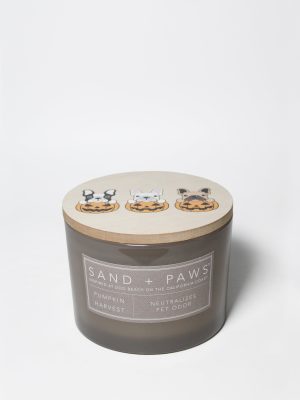 Sand + Paws Pumpkin Harvest 12 oz scented candle