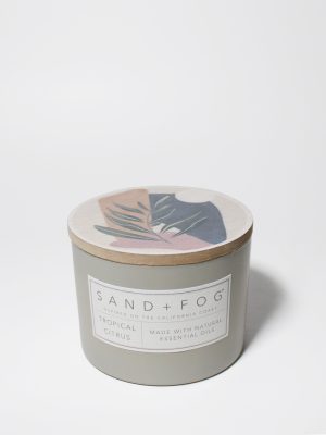 Tropical Citrus 12 oz scented candle