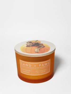 Sand + Paws Cinnamon Pumpkin 12 oz scented candle