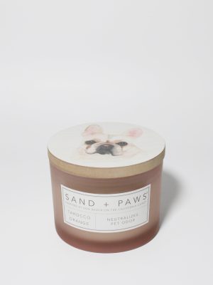 Sand + Paws Tarocco Orange 12 oz scented candle